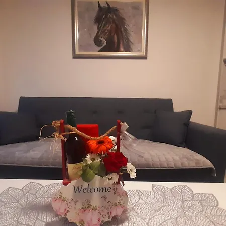 Misss Apartment *